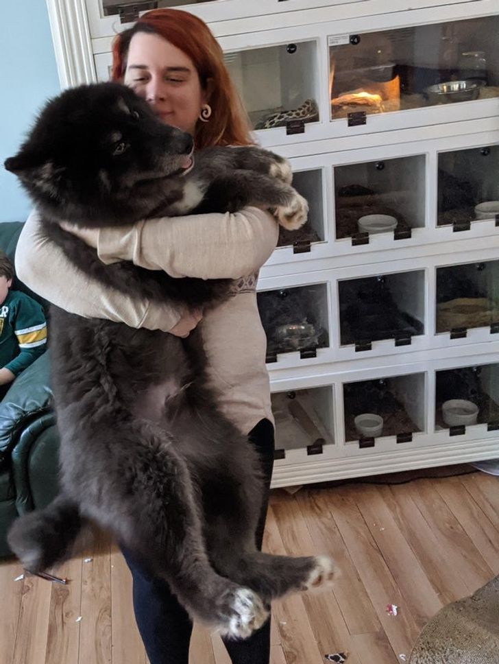 0a0f6a555aba5bb3dc7a9b237c