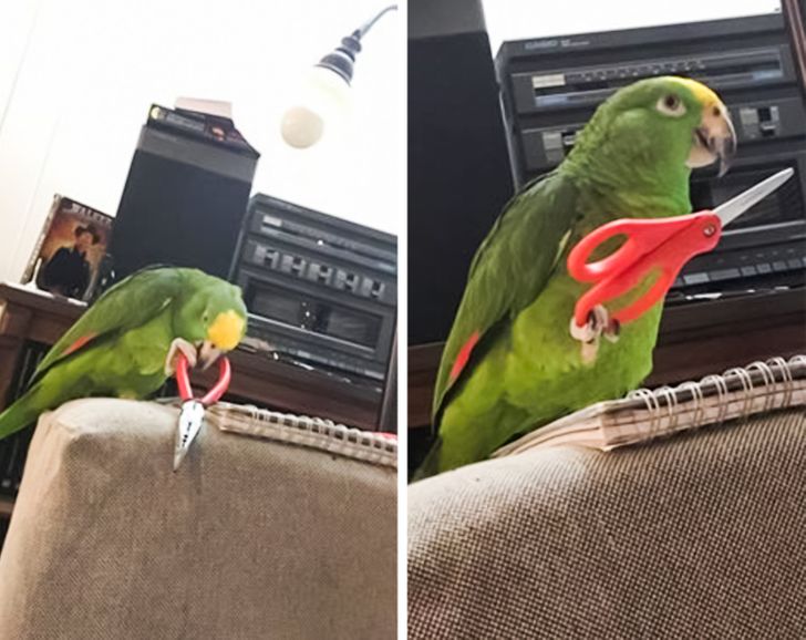 0a174b5704a4ee5f5f7c29fc0c