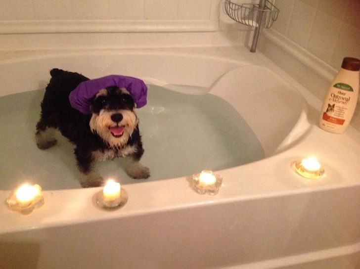 0a17b05eb8bcb918a8b5f3d44b