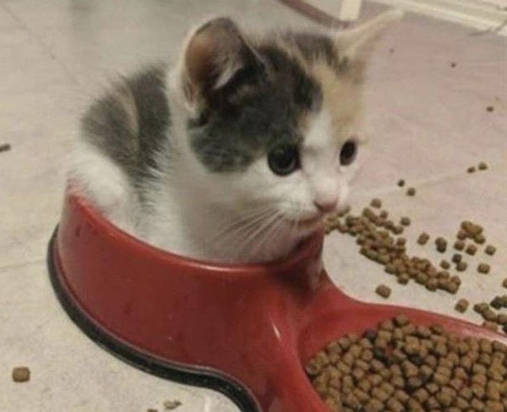 0a1a4f5a0fa8fa23f6b929beef