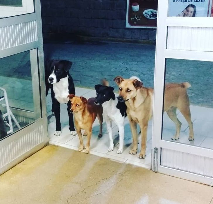 0a204e5c5996cdd2a7306d5e94