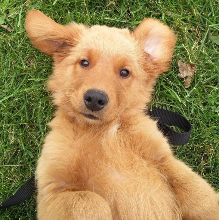 0a22b05b098b69d8d7117c21a0