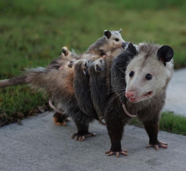 0a263b5155b64f6417354640fb