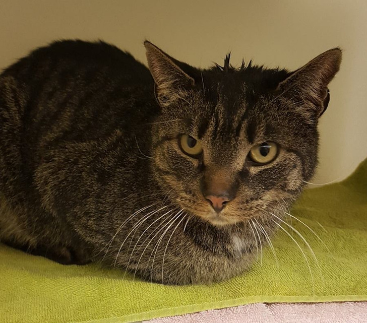 0a26ef5de5acdb249cc28d8b48