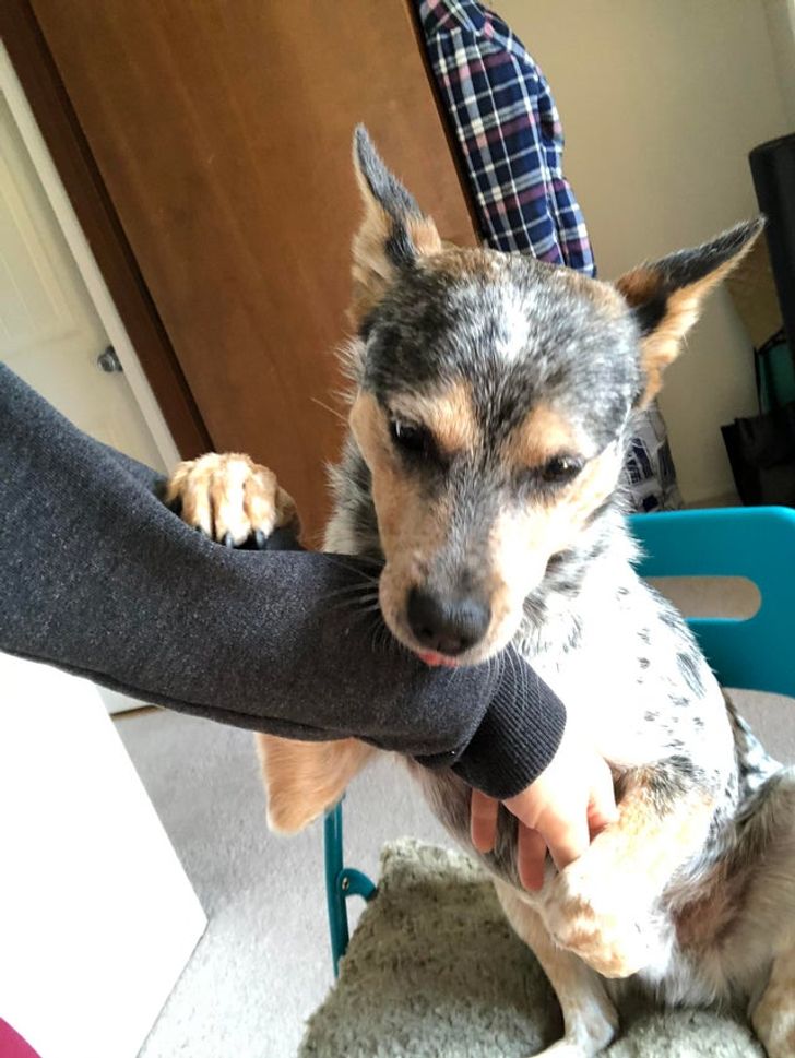 0a2ab45e75b4e6e151cbb5c8ce