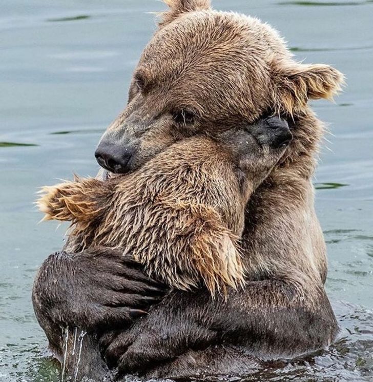 0a2b5f52c2b498b681a8cdcefc