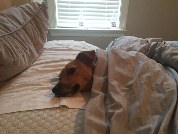 0a345151068825ff2e6675ddb0