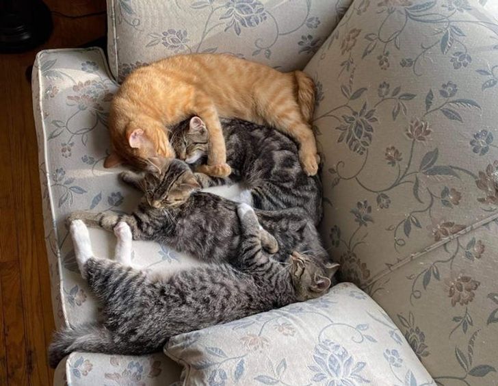 0a3eaf5cd2b9f9c3ce9568785f