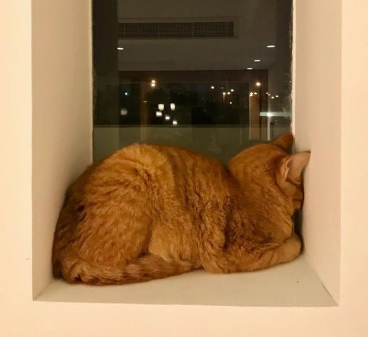 0a45e65b3bb99ea3cccd8a2df1