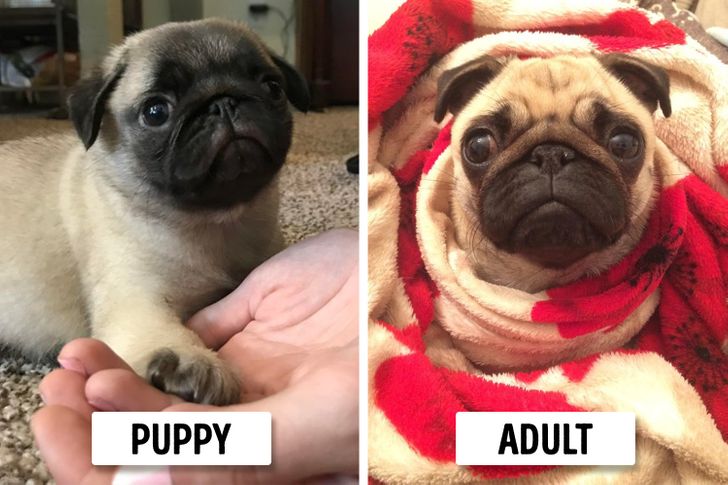 0a4da85b869548567b7a075124