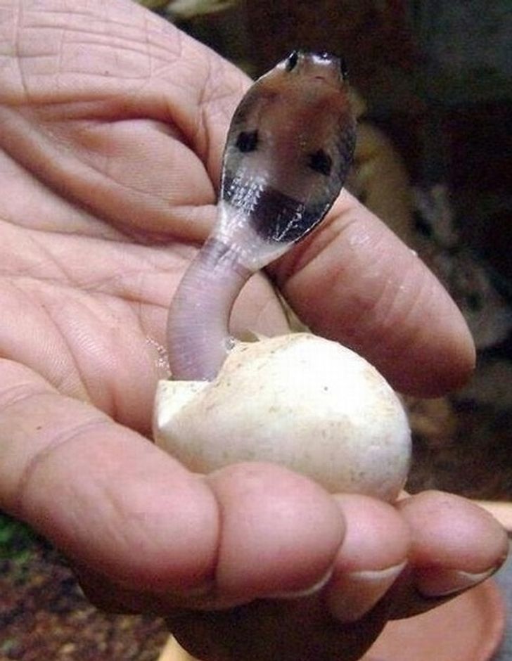 0a5a9850db8fda60d4706a1279