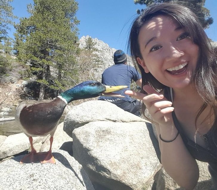 0a5d3b576fa97fb09b45e01539