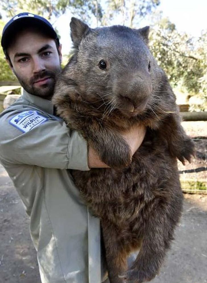 0a603c54f9ad6eda2560654b62