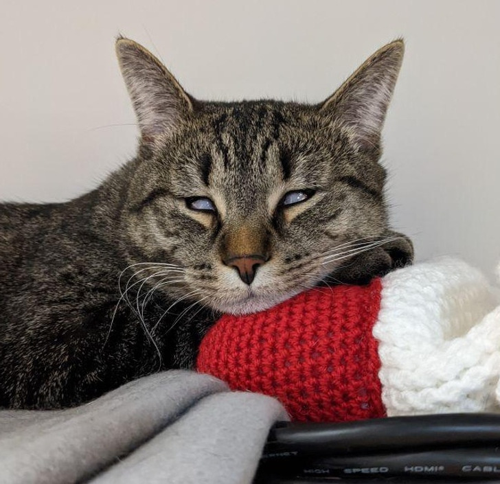 0a68f55c3f9a536ba8989dc8e2