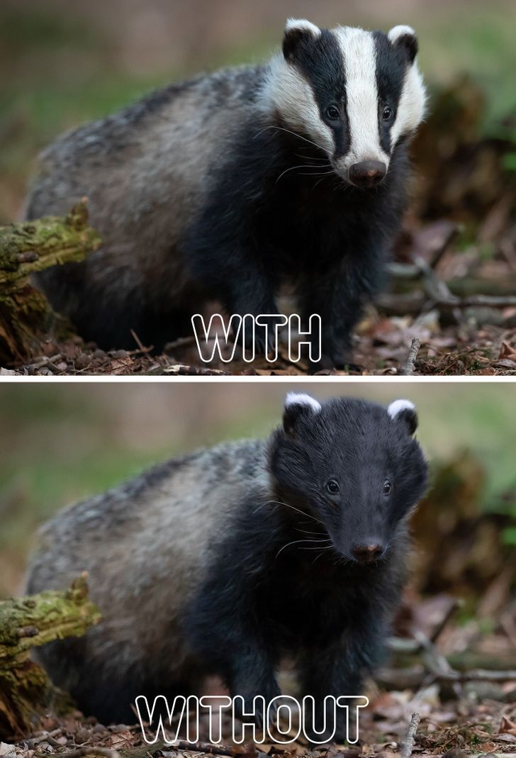 0a69f951cda085dee895025785