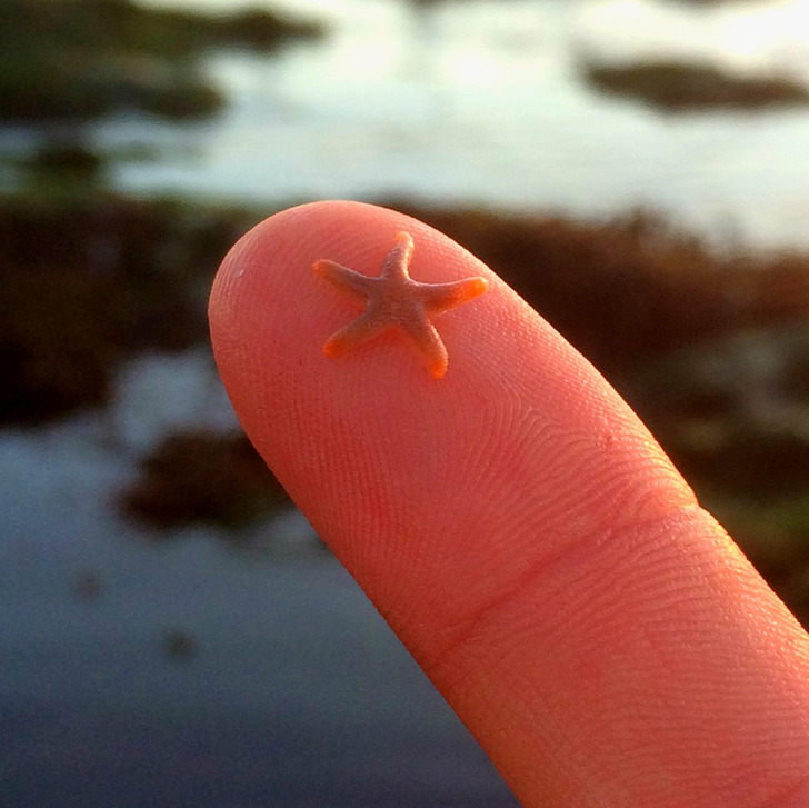 0a6cc553aeba1afdbbb772495f 0a6cc553aeba1afdbbb772495f