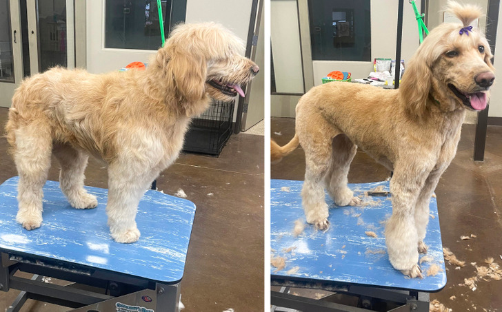 0a70855c55a86b4d72783400d8