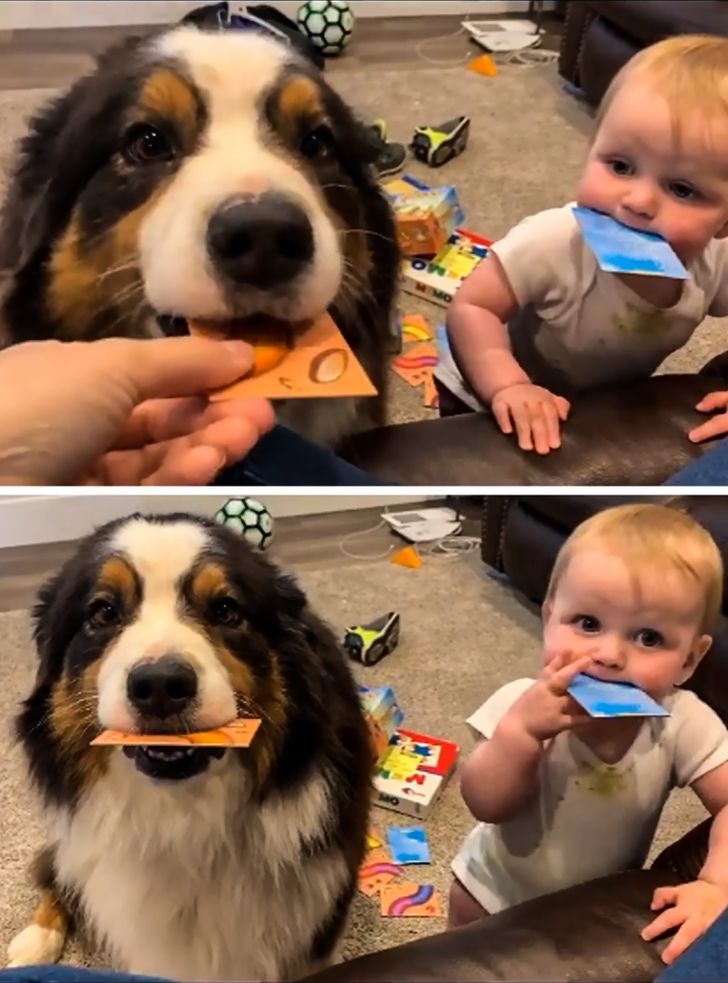 0a72a85401bd4dd7b0c6d95adc