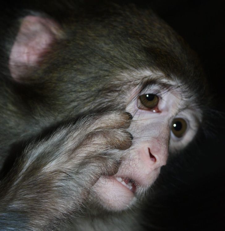 0a73ef517fb40e246148475c1e