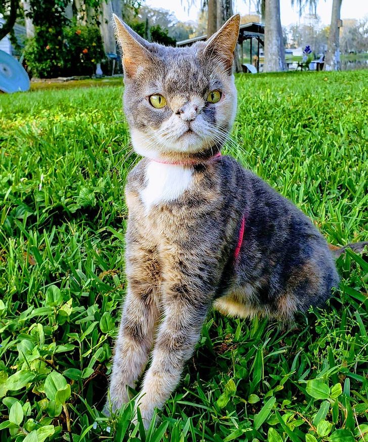 0a75f5569e862f63716f43df5e