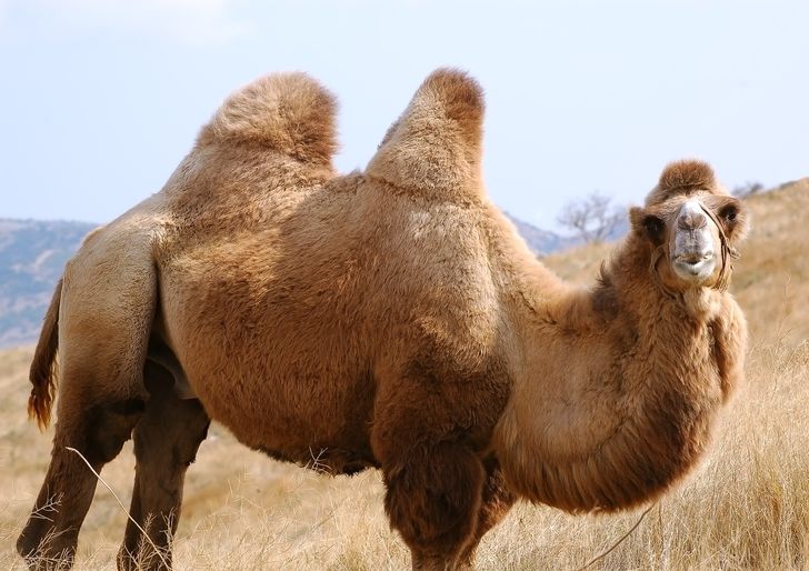 0a7dbe575d9a741a5db4e01106