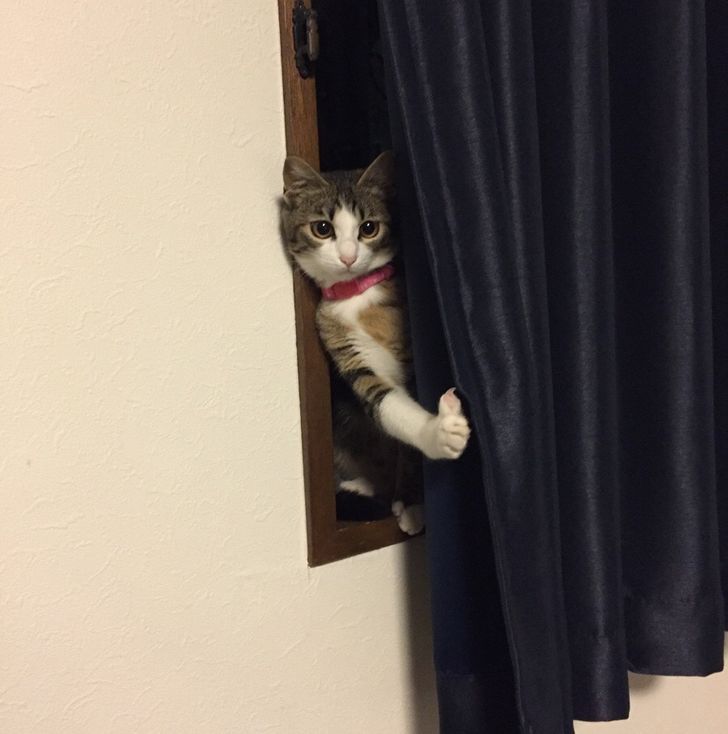 0a7dcc539795598be08db1804c