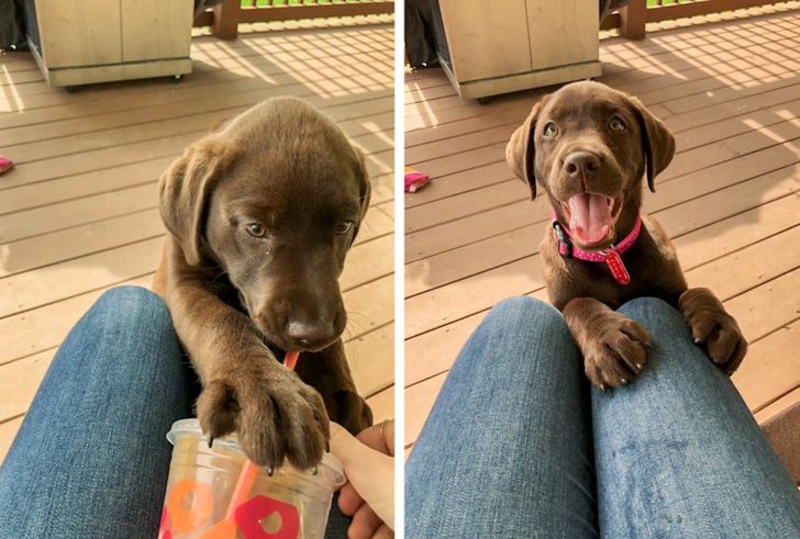 0a913959bca7226c1d4b42cf2c