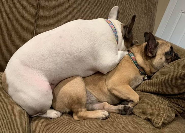 0a938a528e81ee00eba238b80f