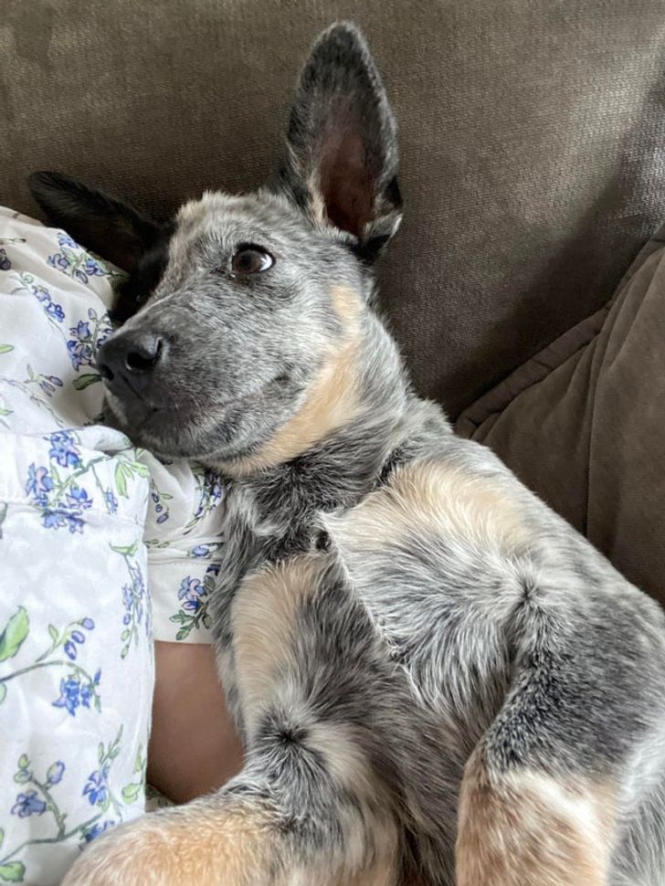 0a9b38560098c949e8b33a85e3