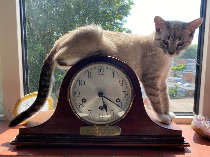 0aaa8458eba5aca8b29d85c218