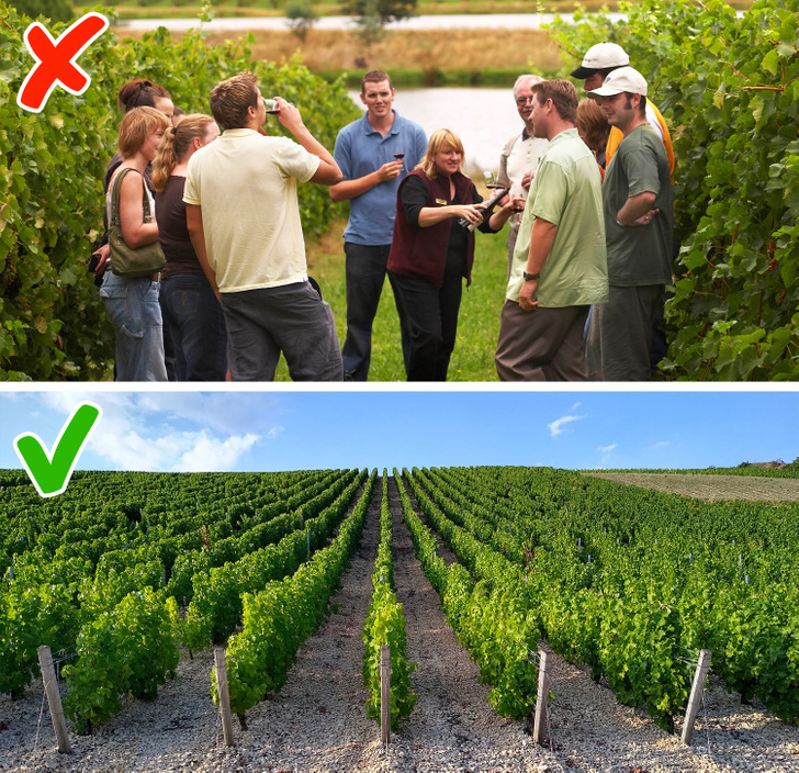 0aadaf5276a4f9833546dde974