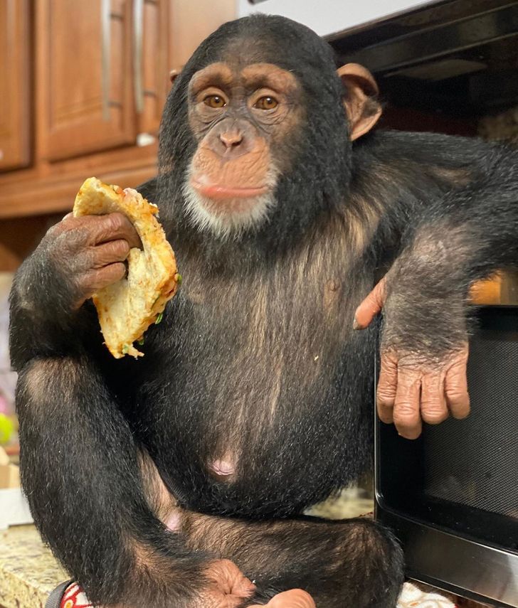 0ab04c5df08a7624ec1639a2df