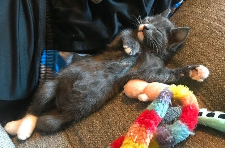 0aba895bfa8c7747b44b045c13