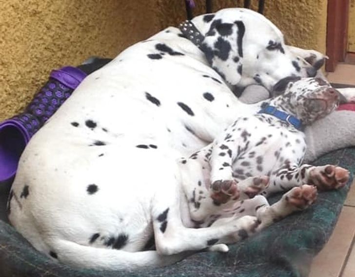 0abd8c5f9997b663258cf3df67