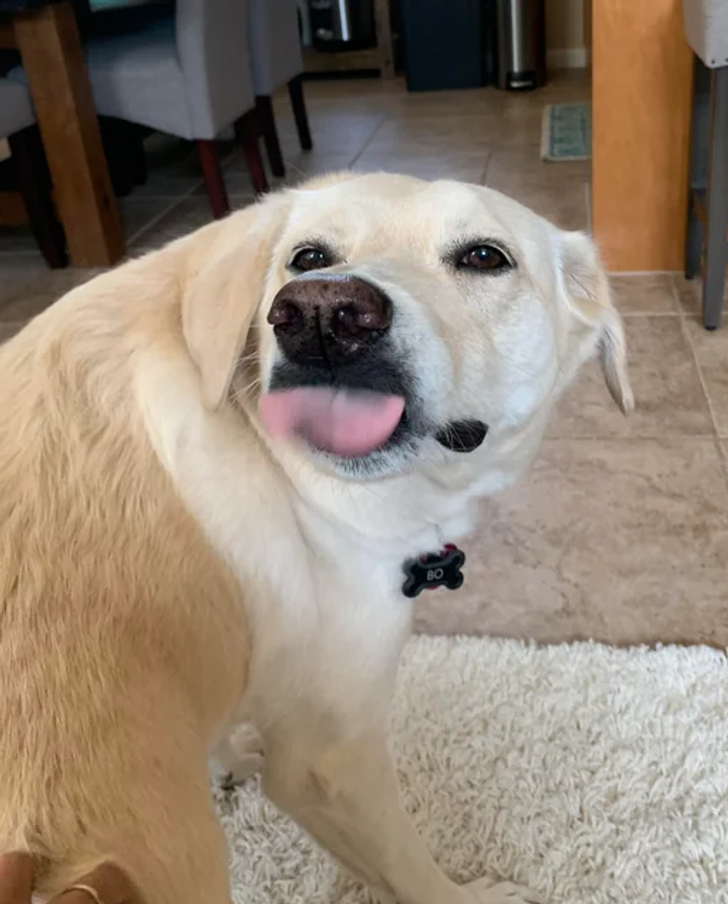 0ac10553ba9a8cb855f1e7c9a4