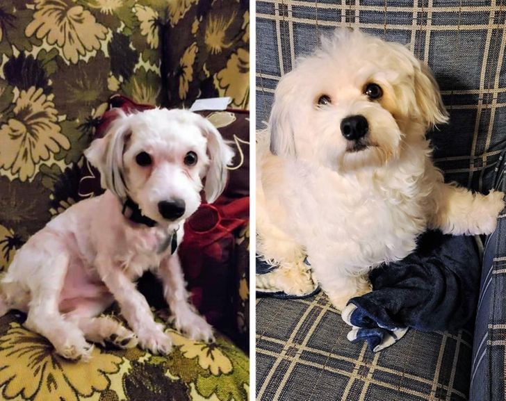 0ac8f65630b390b0971ecab0fa