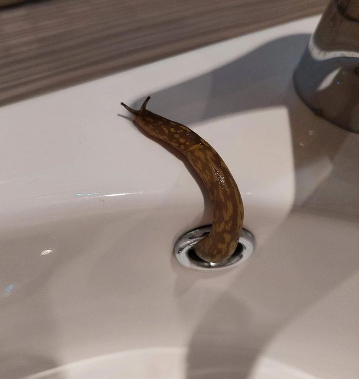 0acf735927bd3e812543758cd6