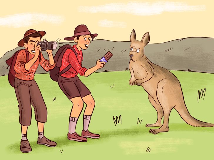 0ad07f523b9baaed50c7eeac3f