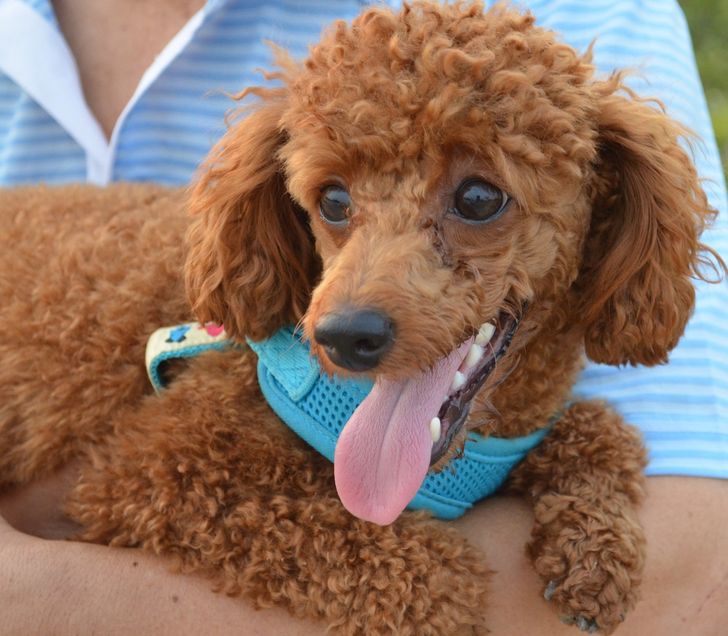 0ad333596a8cca70e4ec2051ef