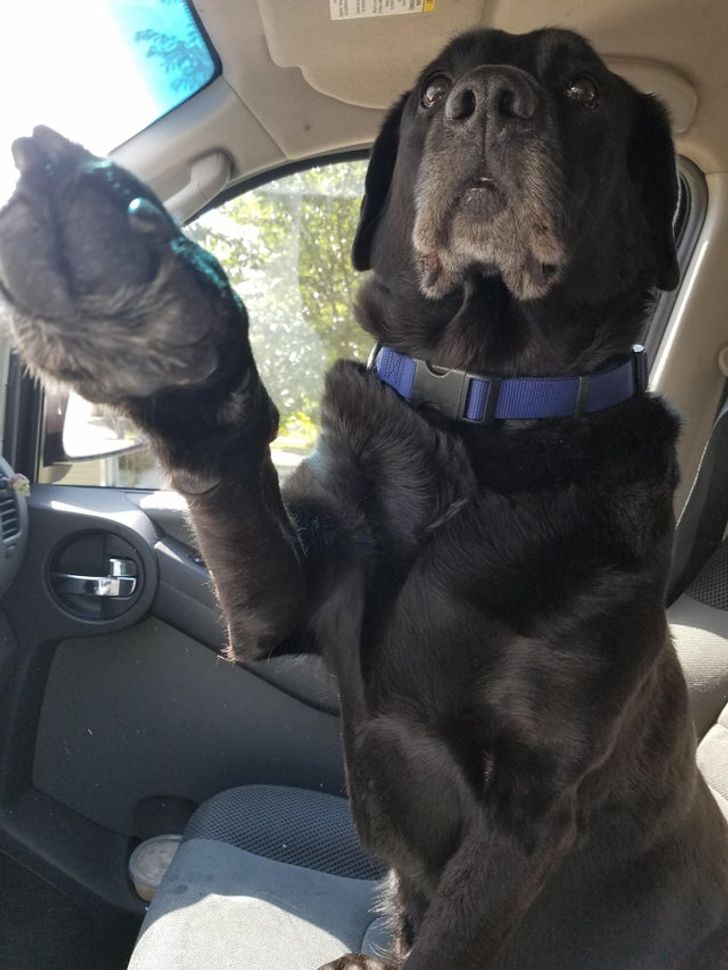 0ad4e05e48a38e6ed2be1abeca