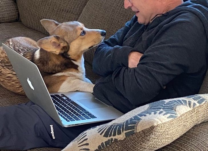 0adaaa50c48783df3c8f62d186