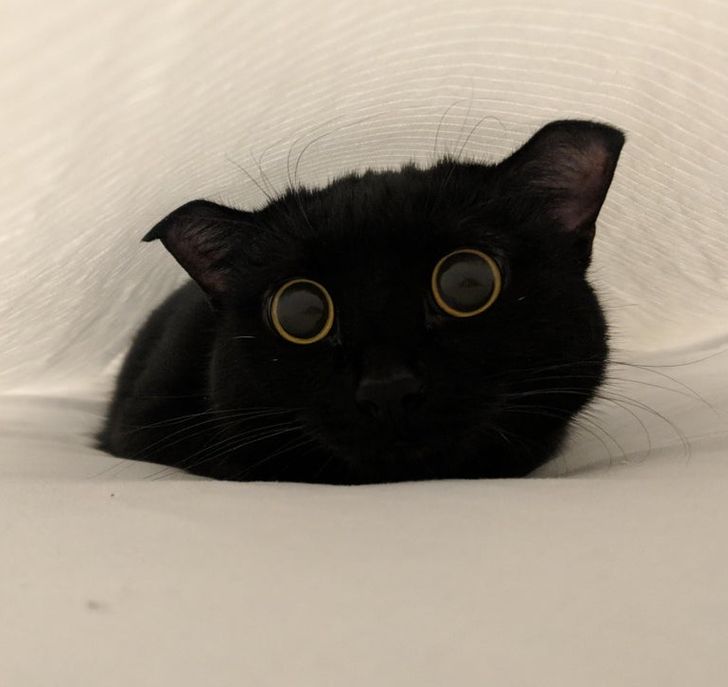 0adc2e5cb8bc4af302e104e07b