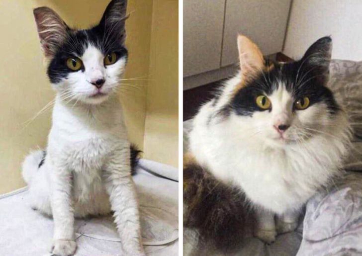 0ae2cf5353a1c25607ff4fe0fe