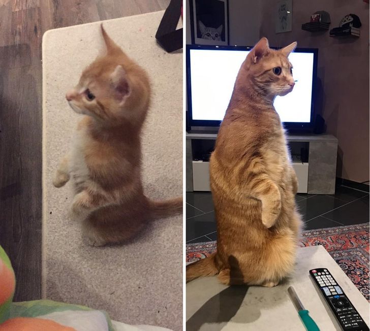 0aeac1586c913a9ca17df0080f