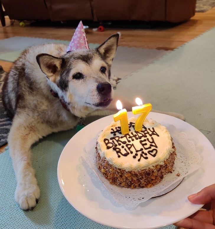 0aeb4058f59e4dd4f04f74d1b6