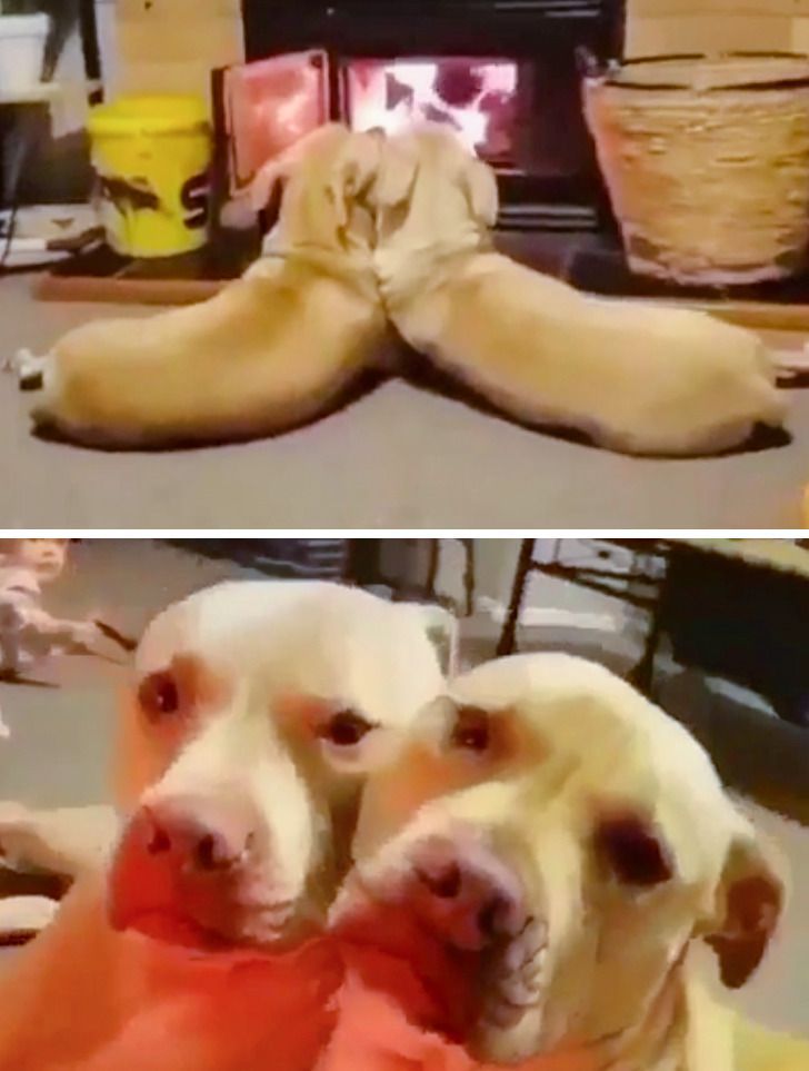 0afbbd5f7b85a344b5a6bfa8aa