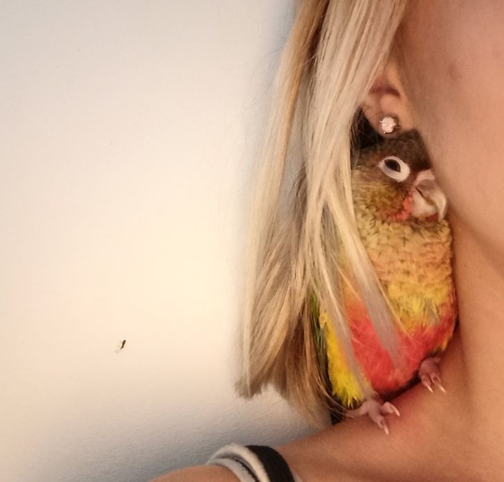 0afffa5023aad4933dfece1877