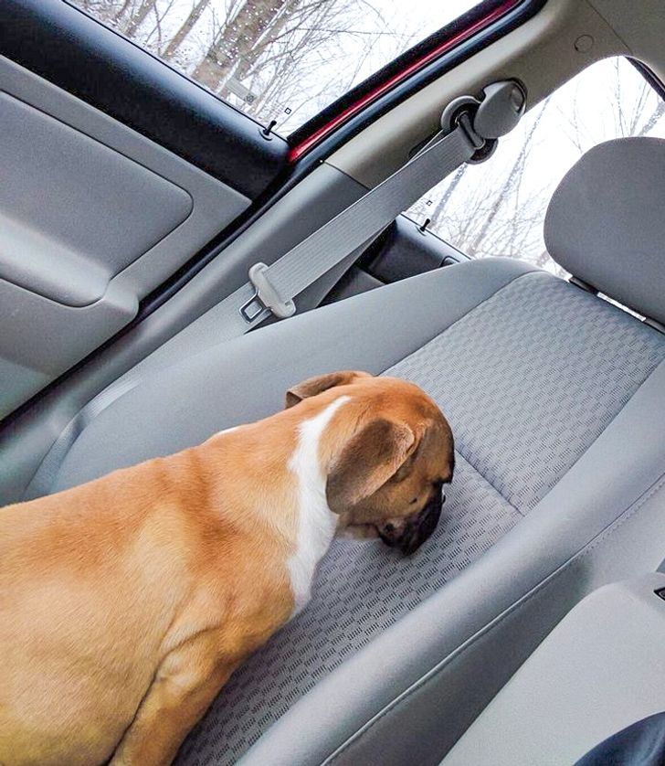 0b08915f4291f4bc070d04f546