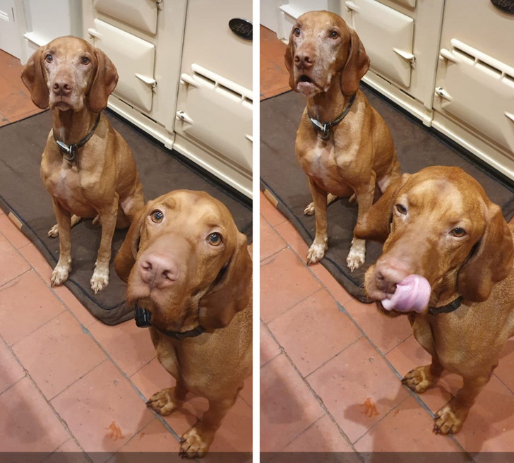 0b0ab5521f8a8a0a93cdc1492a