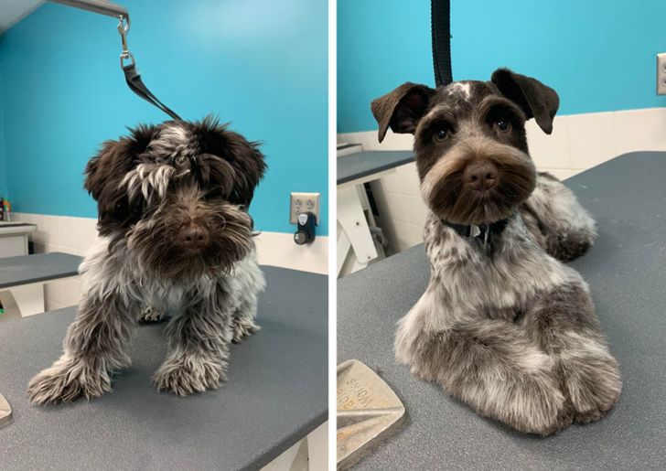 0b10b85652b3e0495d13ff59c4 0b10b85652b3e0495d13ff59c4